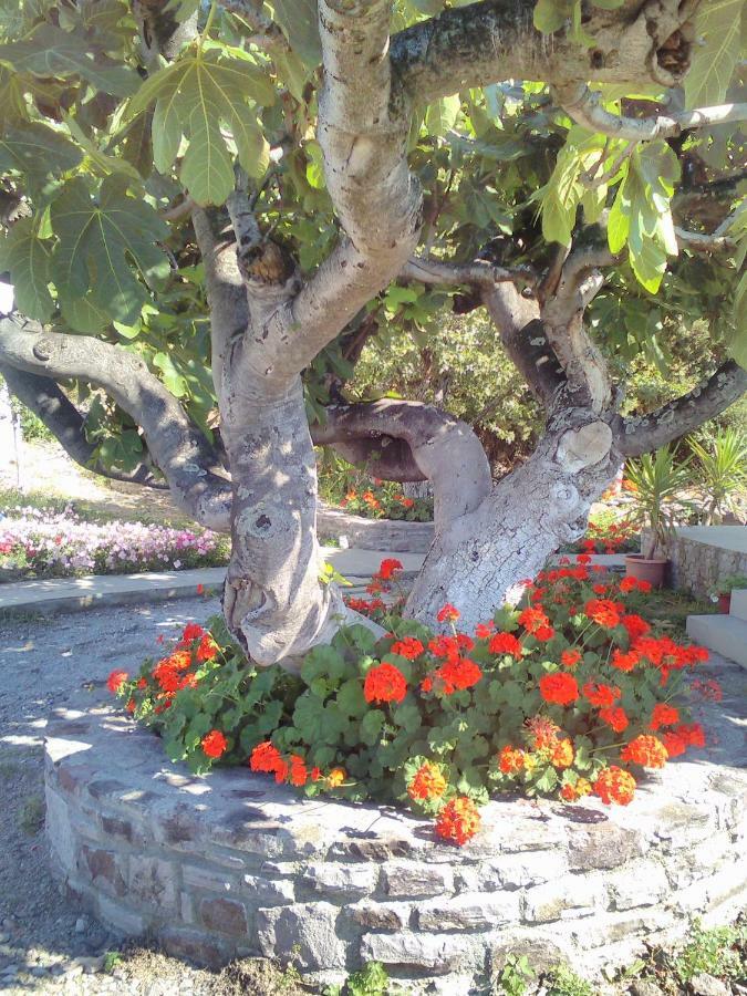 Enalion House Villa Agios Ioannis Kaspaka Buitenkant foto